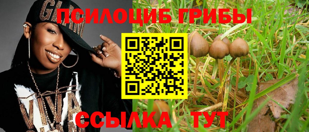 Псилоцибиновые грибы прущие грибы Курчатов