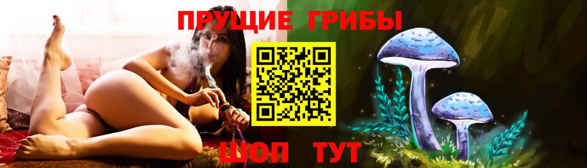 Галлюциногенные грибы мицелий  Вход с VPN  Курчатов  цена   Галлюциногенные грибы Psilocybine cubensis 
